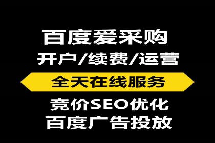 深入解析SEM账户竞价运营成功案例